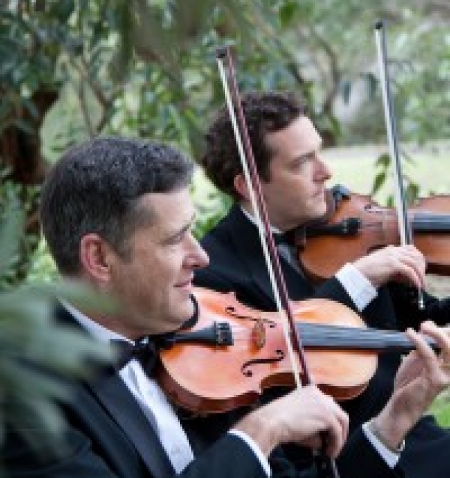 String Musicians