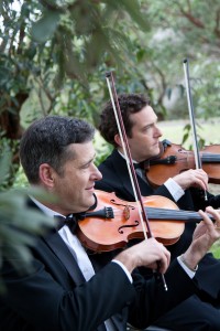 String Musicians