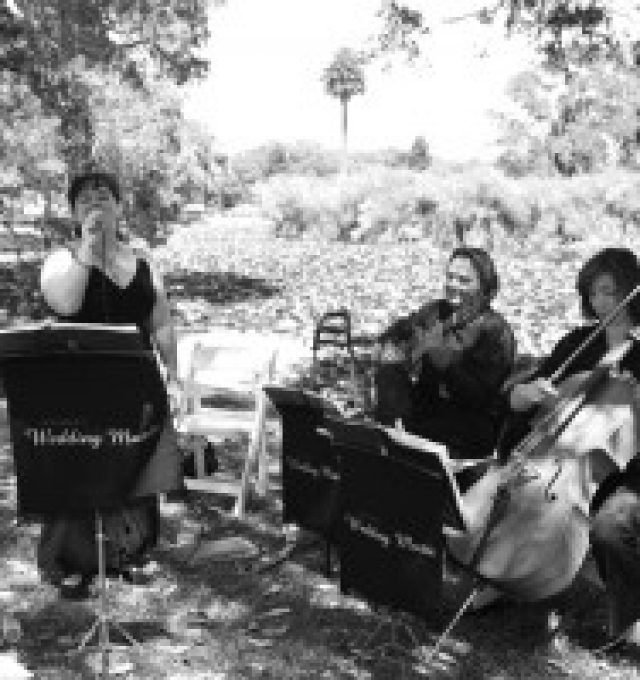 Wedding Trio with Vocalist