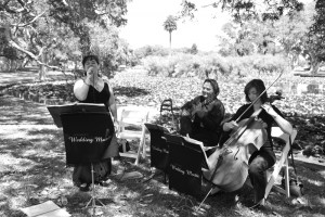 Wedding Trio with Vocalist